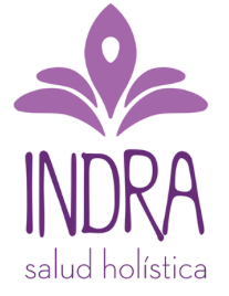 Indra Logo Indra